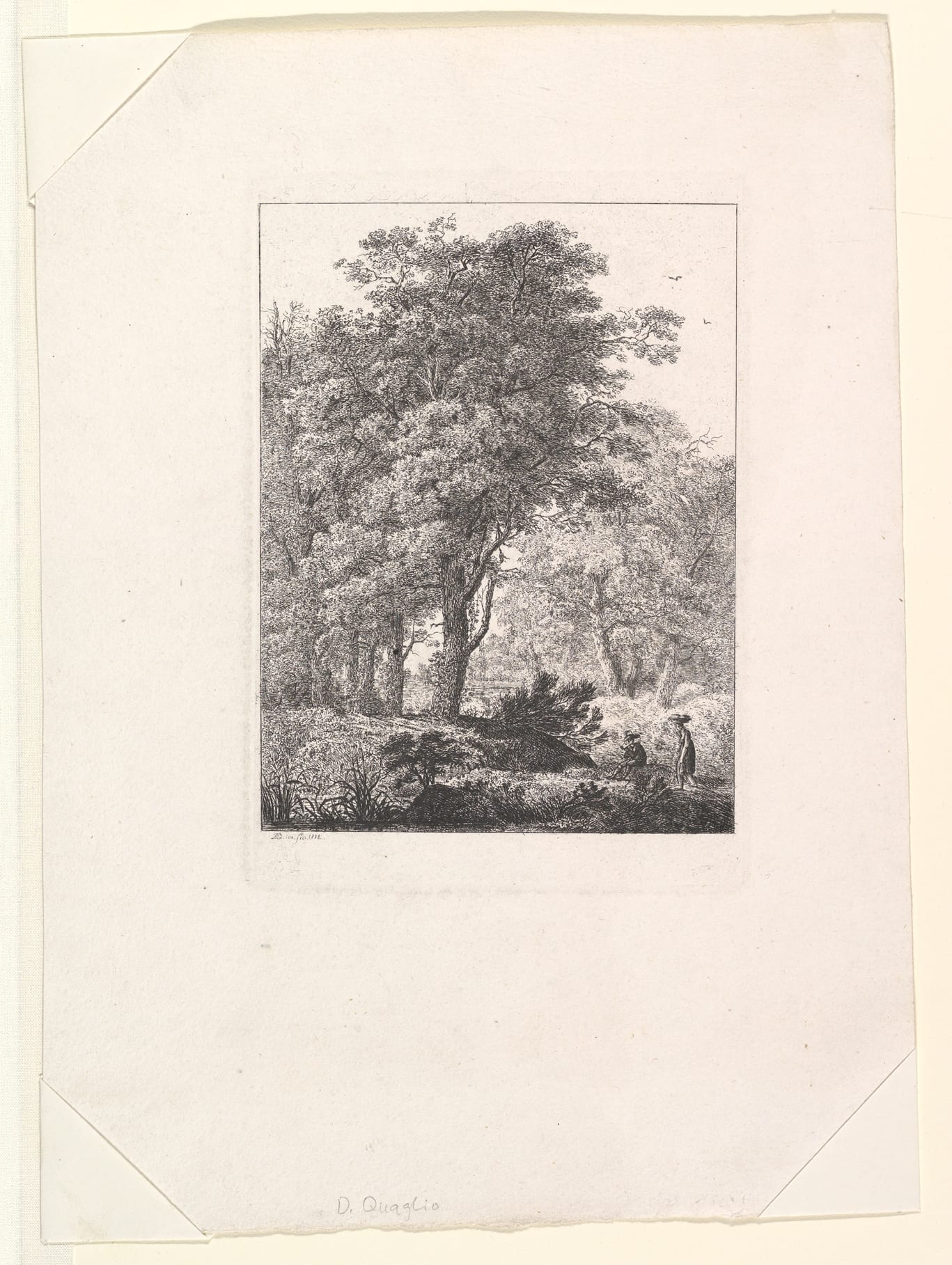 Forest Landscape，Domenico Quaglio II，n.d.